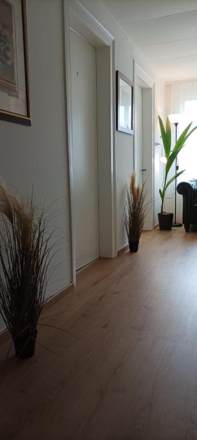 Ntn House Bed and Breakfast St. Gallen Exteriör bild
